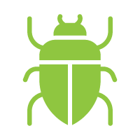 Escarabajos Barrenadores